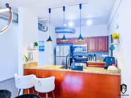 Luxury Spacious 2BD in the heart of the Downtown (Loft#302)