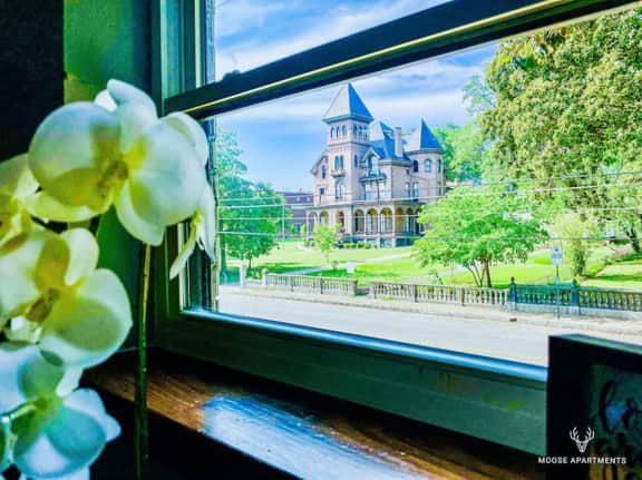 Luxe King Studio w/ Amazing Views ~ Free Parking & WIFI (Suite 1)